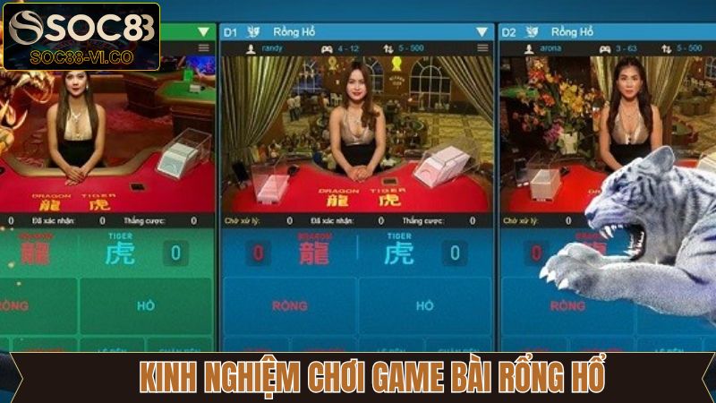Bí kíp đặt cược Dragon Tiger từ cao thủ