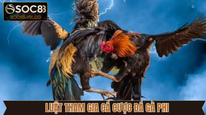 Những nguyên tắc cơ bản cần nắm khi tham gia đá gà Phi