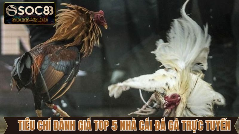 Các tiêu chí để lựa chọn ra top 5 nhà cái đá gà trực tuyến